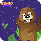 Bingo Bonga – casino con juego justo
